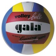 Gala Training Mini Volleyball , Größe 4