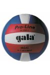 GALA Pro Line Mini Volleyball- Größe 4.