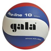   Gala Pro-Line BV 5121SH Volleyball mit ungarischen Nationalfarben- Teil der Wettspielballserie