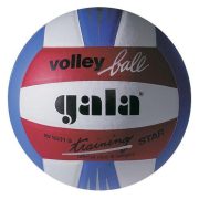 Gala Training Star Volleyball