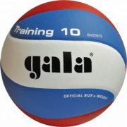 Gala Training 10 Volleyball