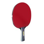 Cornilleau Sport Pack Duo Gatien Tischtennisschläger set