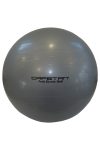 Capetan® Classic 75 cm Durchm. Gymnastikball in silberner Farbe – Fitnessball