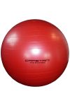 Capetan® 95 cm Durchm. ROTER „Anti-Burst” explosionsgeschützter Gymnastikball